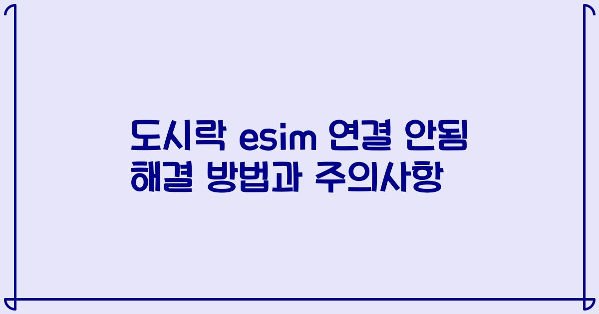 도시락 esim 연결 안됨 해결 방법과 주의사항