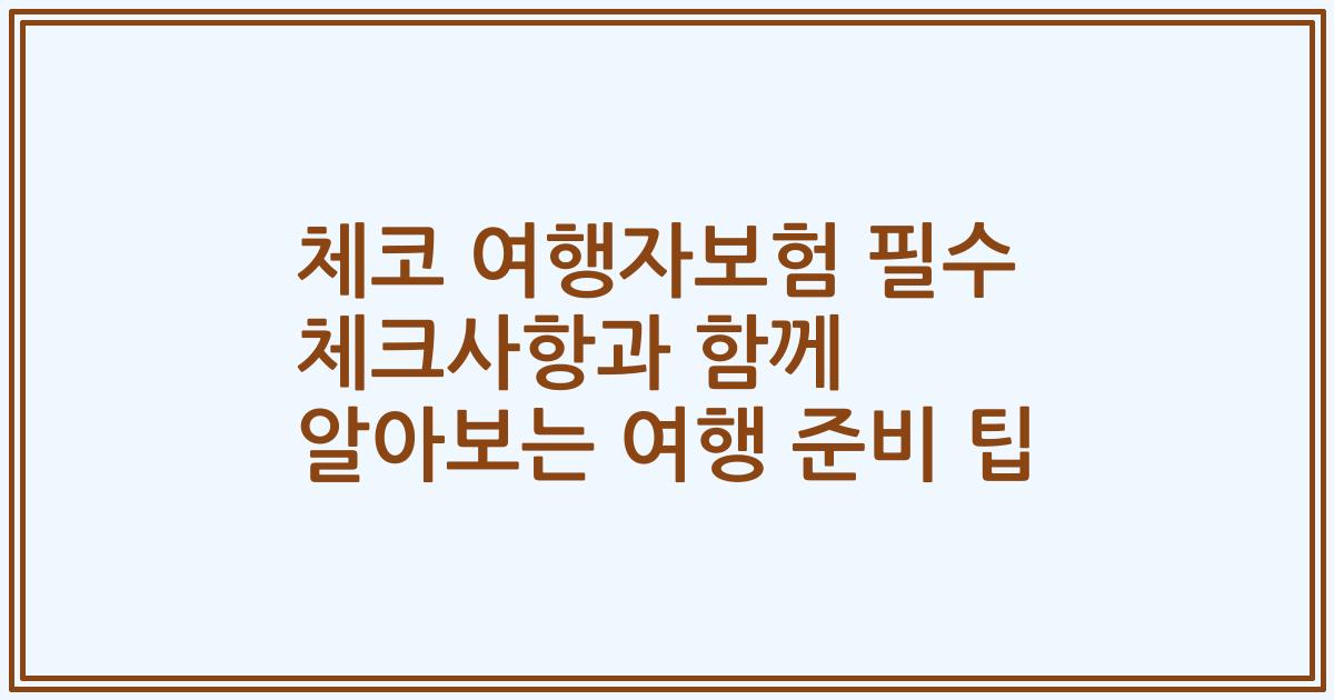 체코 여행자보험 필수 체크사항과 함께 알아보는 여행 준비 팁