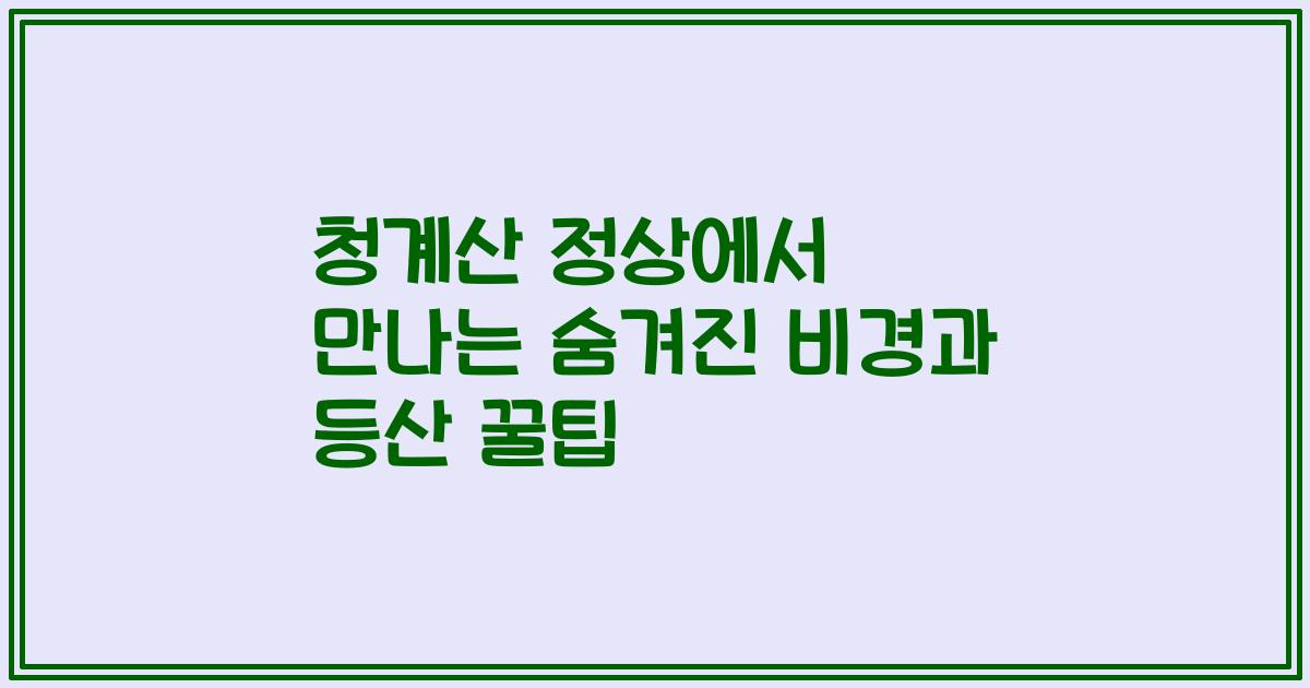 청계산 정상에서 만나는 숨겨진 비경과 등산 꿀팁