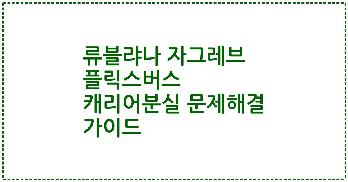 류블랴나 자그레브 플릭스버스 캐리어분실 문제해결 가이드
